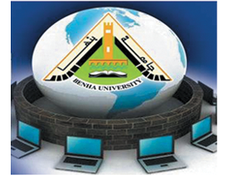 Technical Support for the University Internet Network