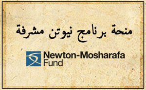 Newton/Moshraffa Fund calls - Deadline 28th September 2015