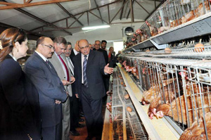 سفير بلجيكا لدى القاهرة يشيد بمشروعات الثروة الحيوانية بجامعة بنها