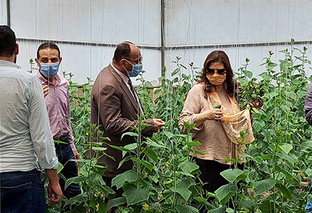 Randa Mustafa visits the Productive farms in Moshtohor    