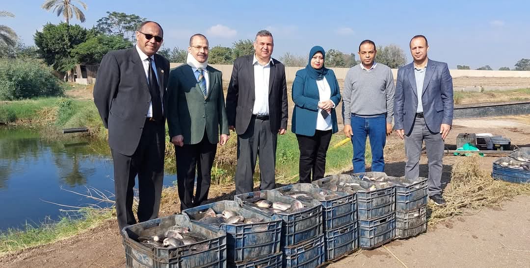 انطلاق موسم حصاد السمك البلطي بالمزارع السمكية المفتوحة بكلية الزراعة بمشتهر 