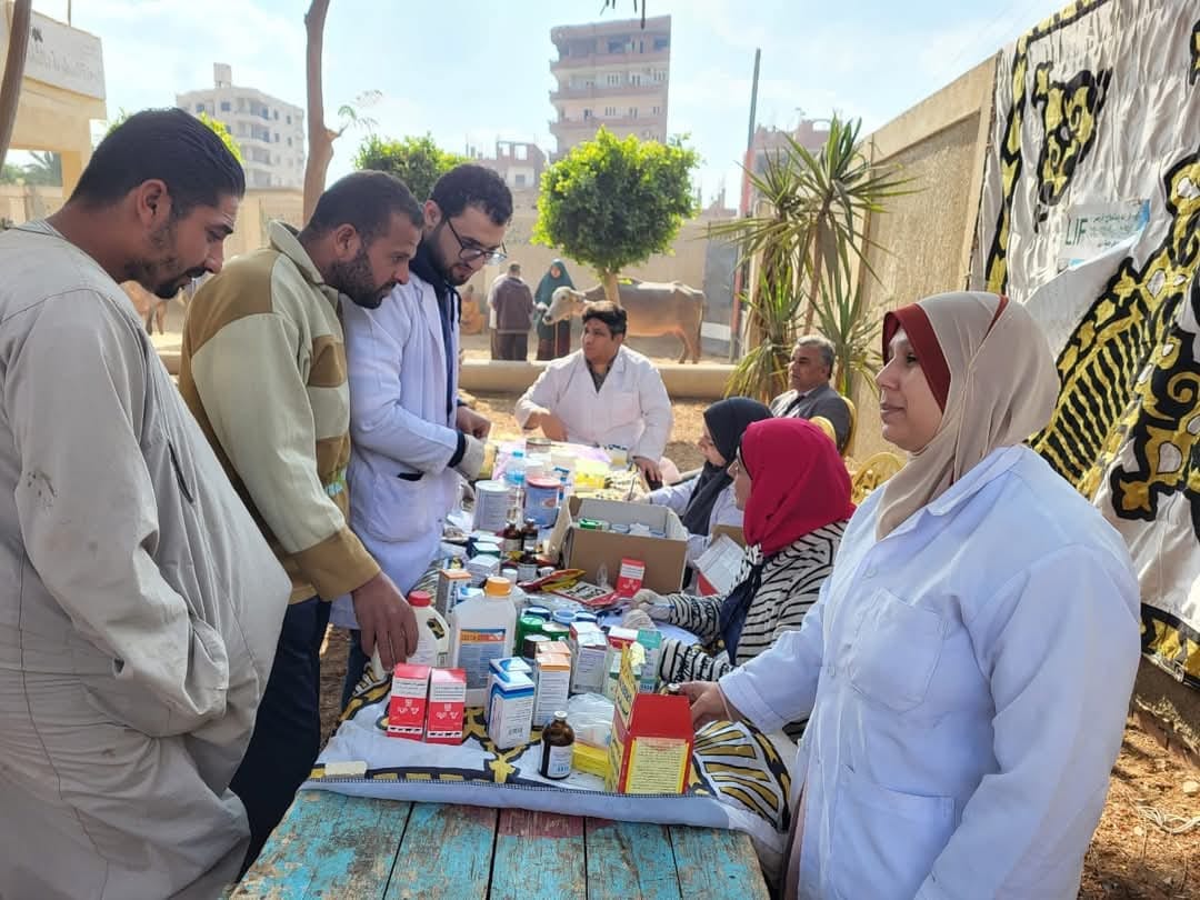 Benha University Organized a Veterinary Convoy in Al-Shomout Village