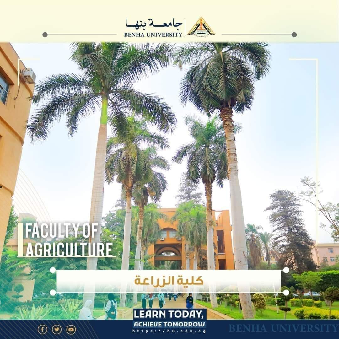 فتح باب الترشح لعمادة كلية الزراعة بمشتهر بجامعة بنها