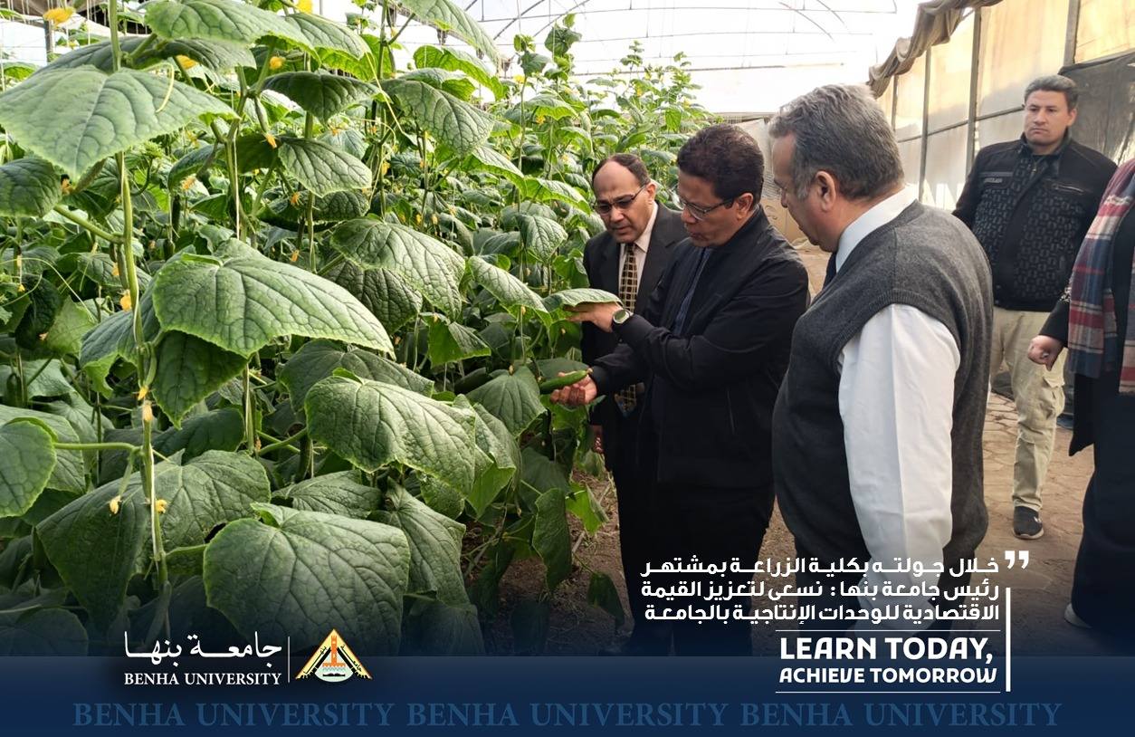 خلال جولته بكلية الزراعة بمشتهر: رئيس جامعة بنها: نسعى لتعزيز وزيادة العائد الاقتصادي للوحدات الإنتاجية بالجامعة