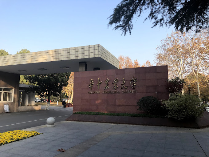 Application Open for the Summer School at Central China Agricultural University – July 2026
