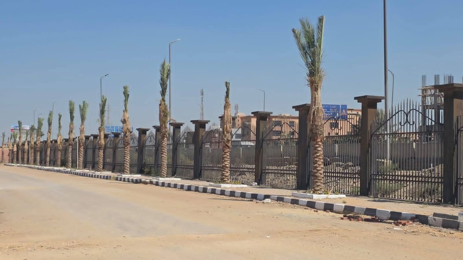 ‎جامعة بنها | مبادرة ١٠٠ مليون شجرة تبدأ من الحرم الجامعي