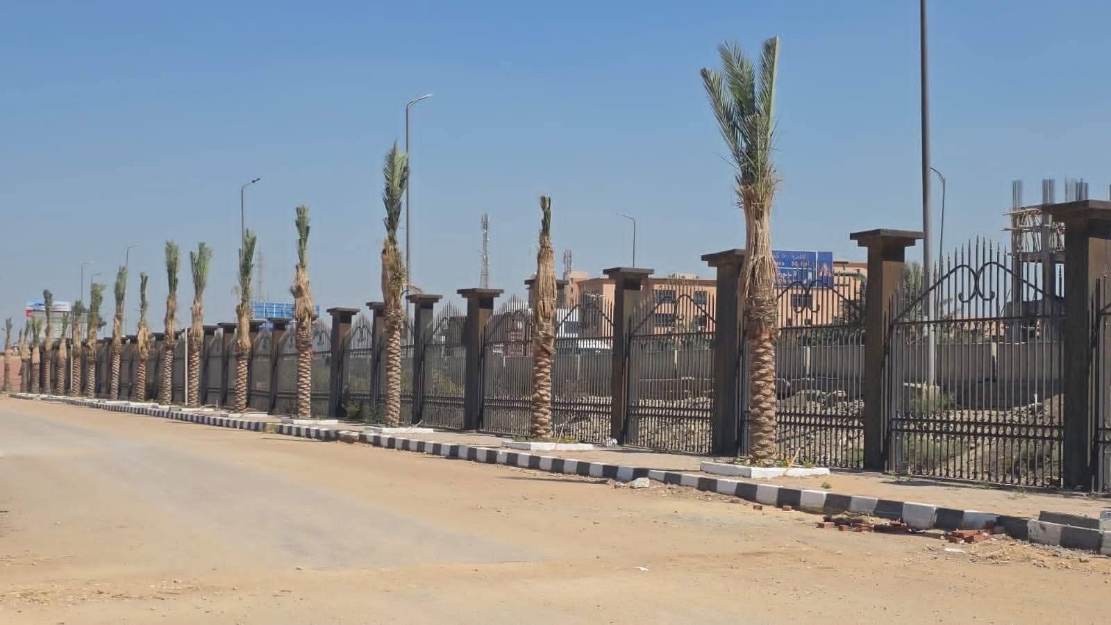 Benha University | “100 Million Trees” Initiative Begins on Campus  