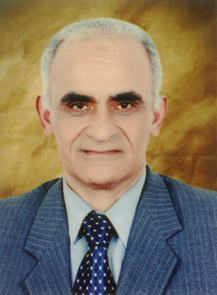 Mohamed Serag El-Din Abd El-Sabour
