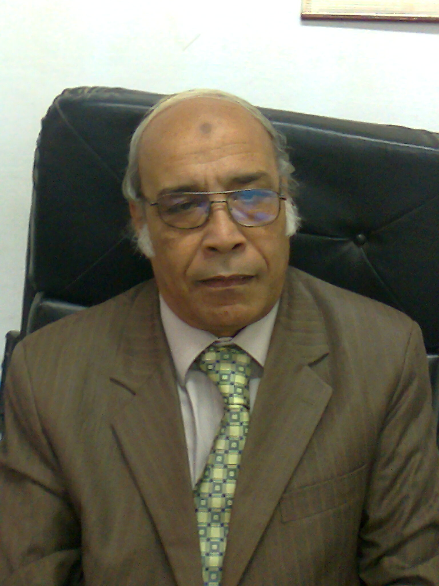 Nabawi  Ahmed  Ali  Hagagy