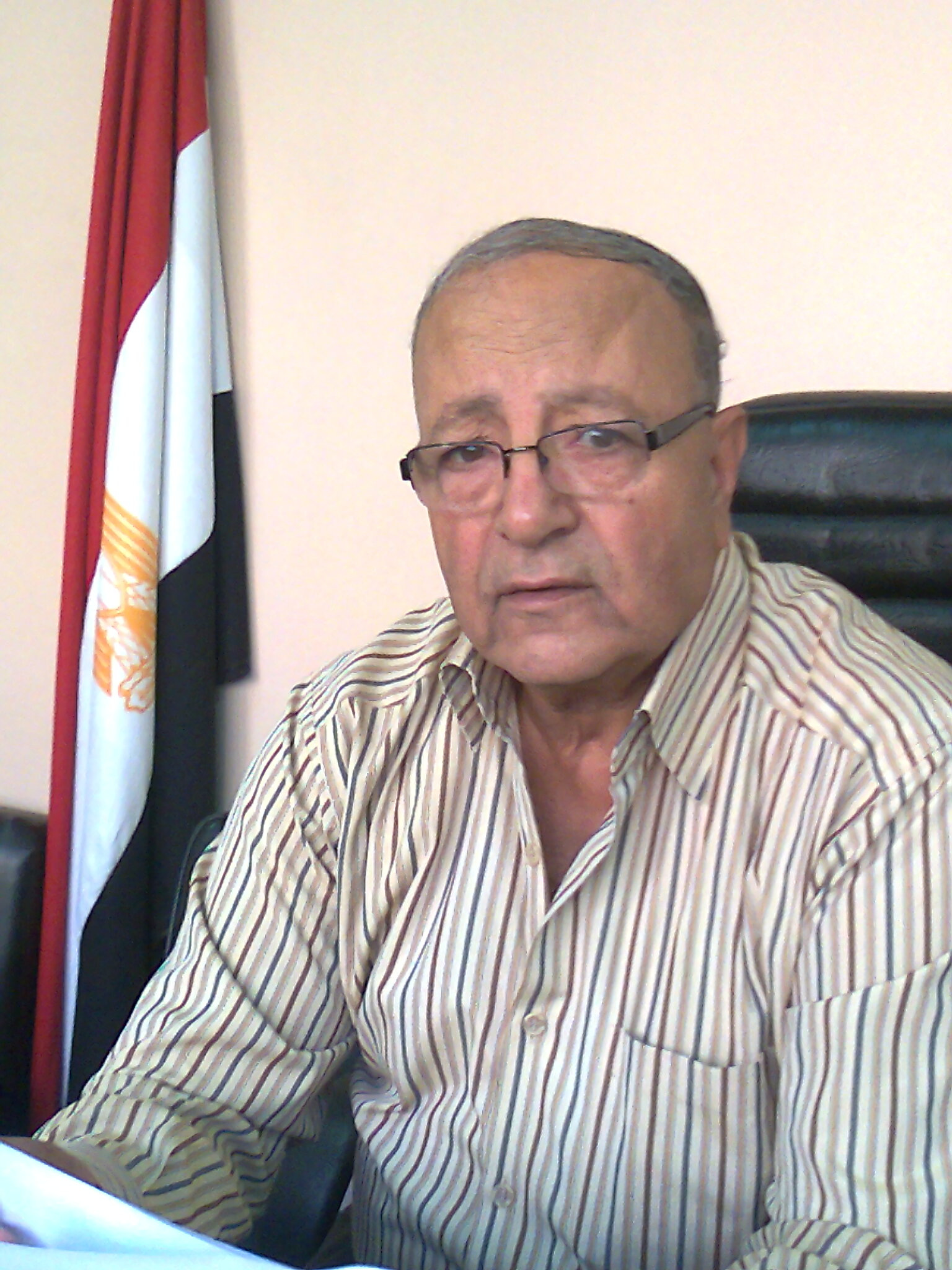 Mohamed Elsaid Ahmed Zaki