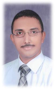 Mohamed Ismail Mohamed Elshiekh