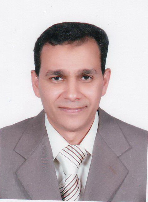 Mohamed Nasr Saeed