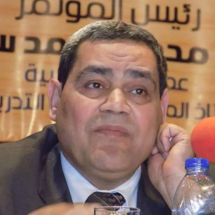 Alaa-El-Din Saad Metwally