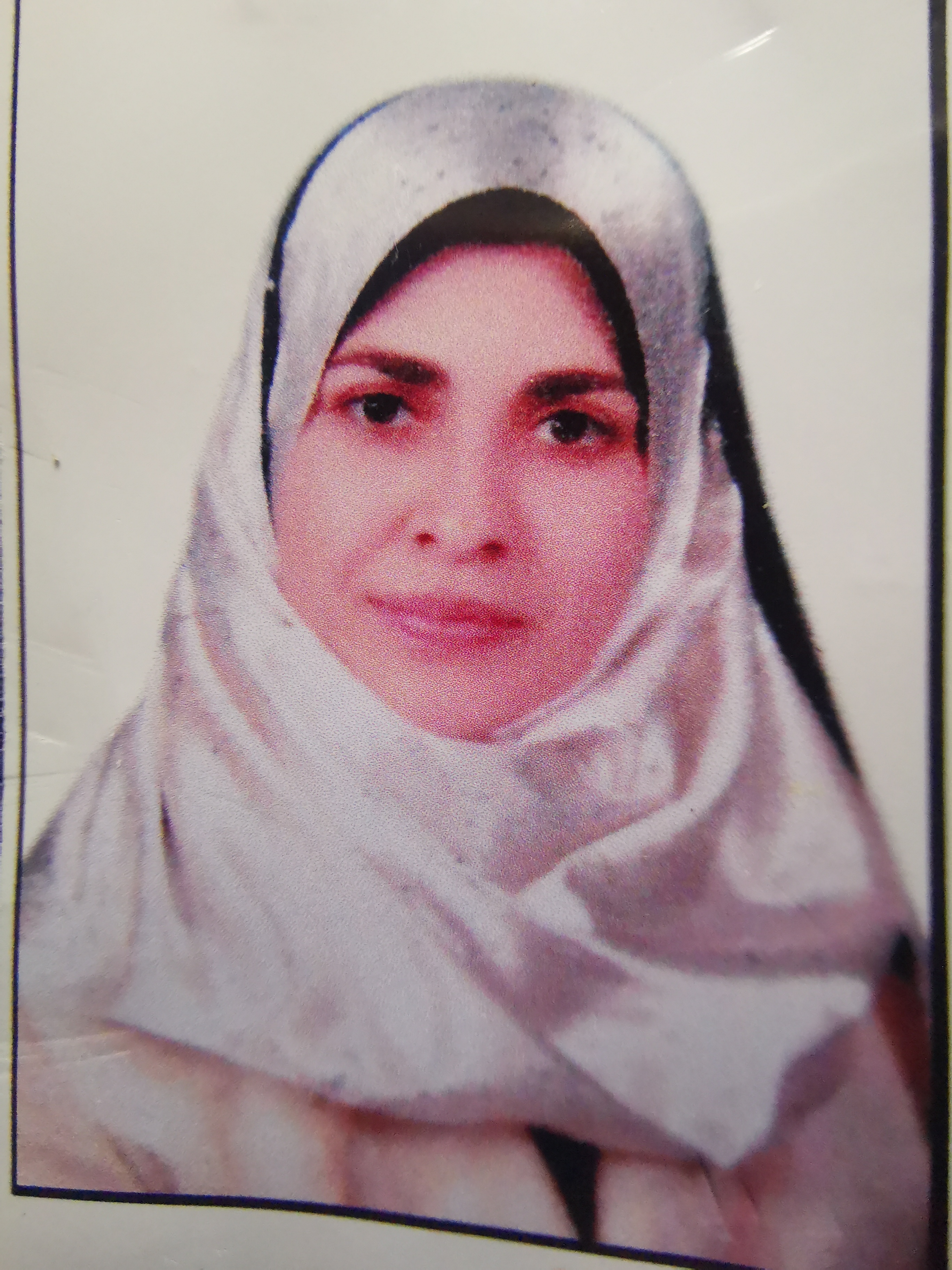 Taghreed Elshahat Ahmed Sakr