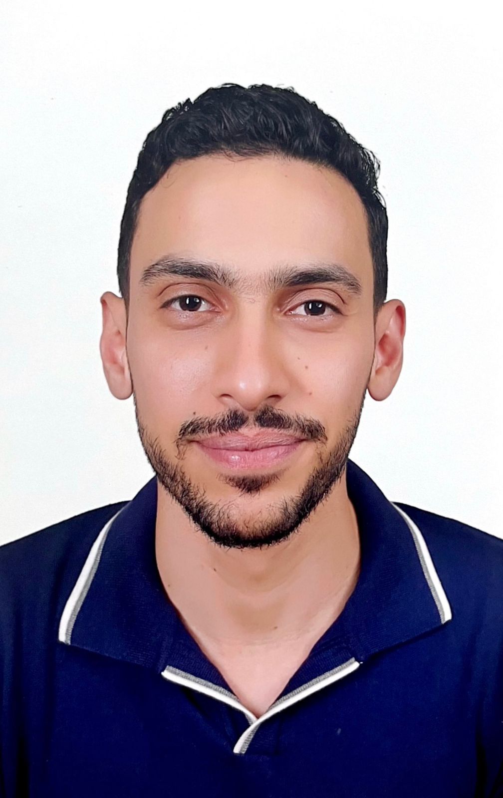 Ans Ibrahim Taha Mostafa 