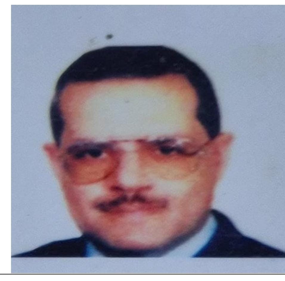 Ahmed Hisham Attia Hassan