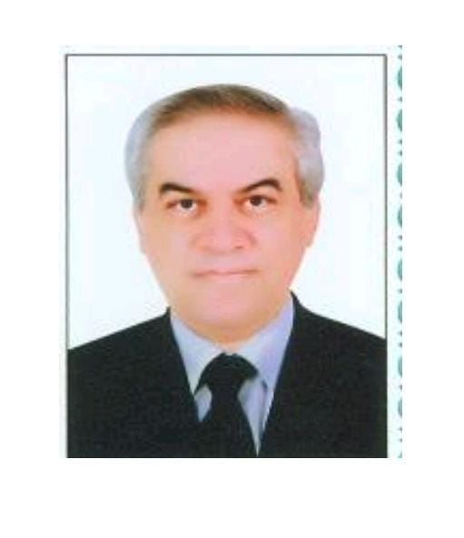 Medhat Mohamed AbdElmoneim Farag