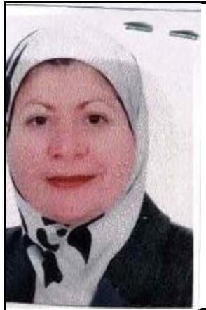 Heba Mohamed Abdel Kader Mohamed Mansur