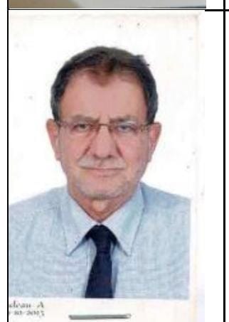 Ahmed Abd El Moniem Mohamed Ibrahim