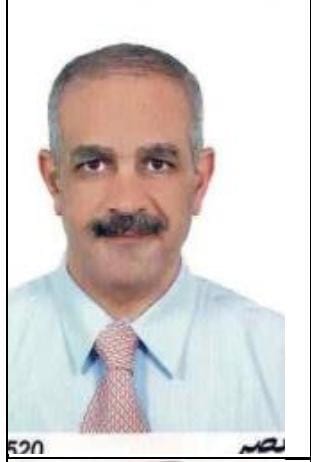 Metwally Hassan Aly Elemary