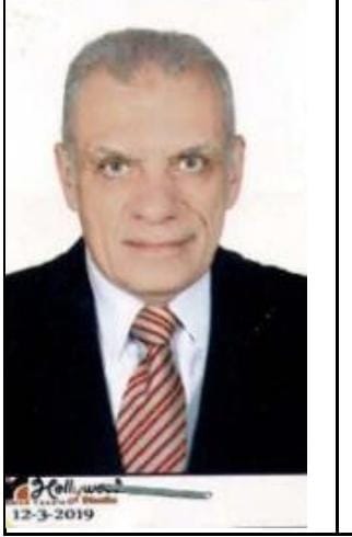 Mohamed Ahmed Hamouda