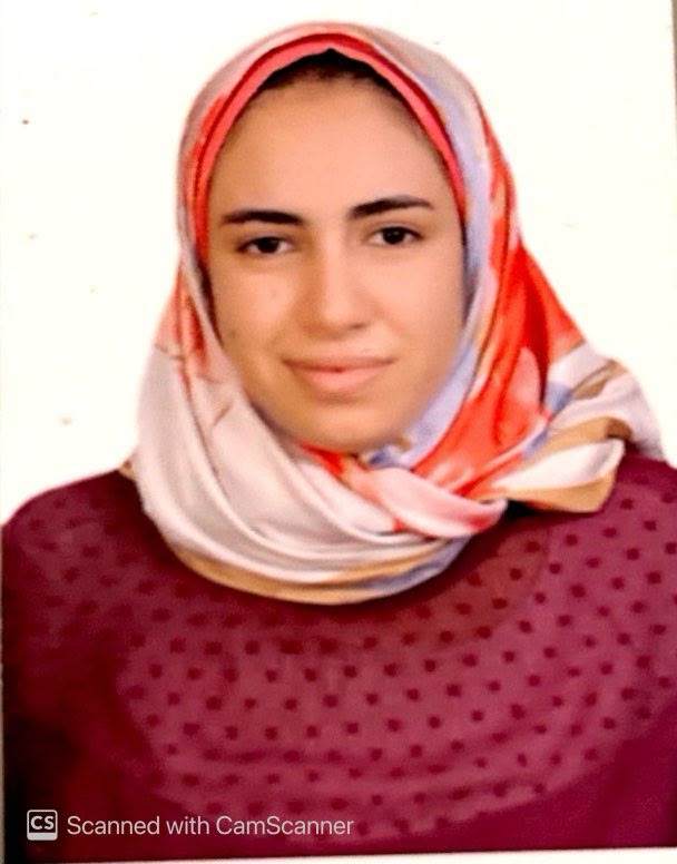 shereen mostafa ahmed mohamed