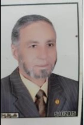 Elsayed Mahmoud Mohamed