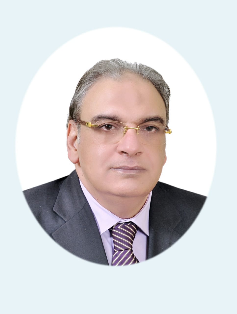 Mohamed Fahmy Shendy