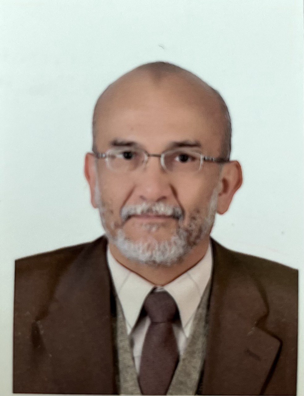 Ibrahim Maged Mohammed Nagati