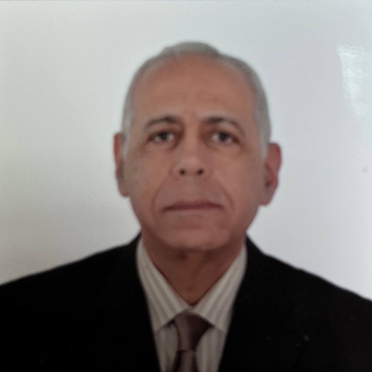 Mohamed Saad Younis Mohamed