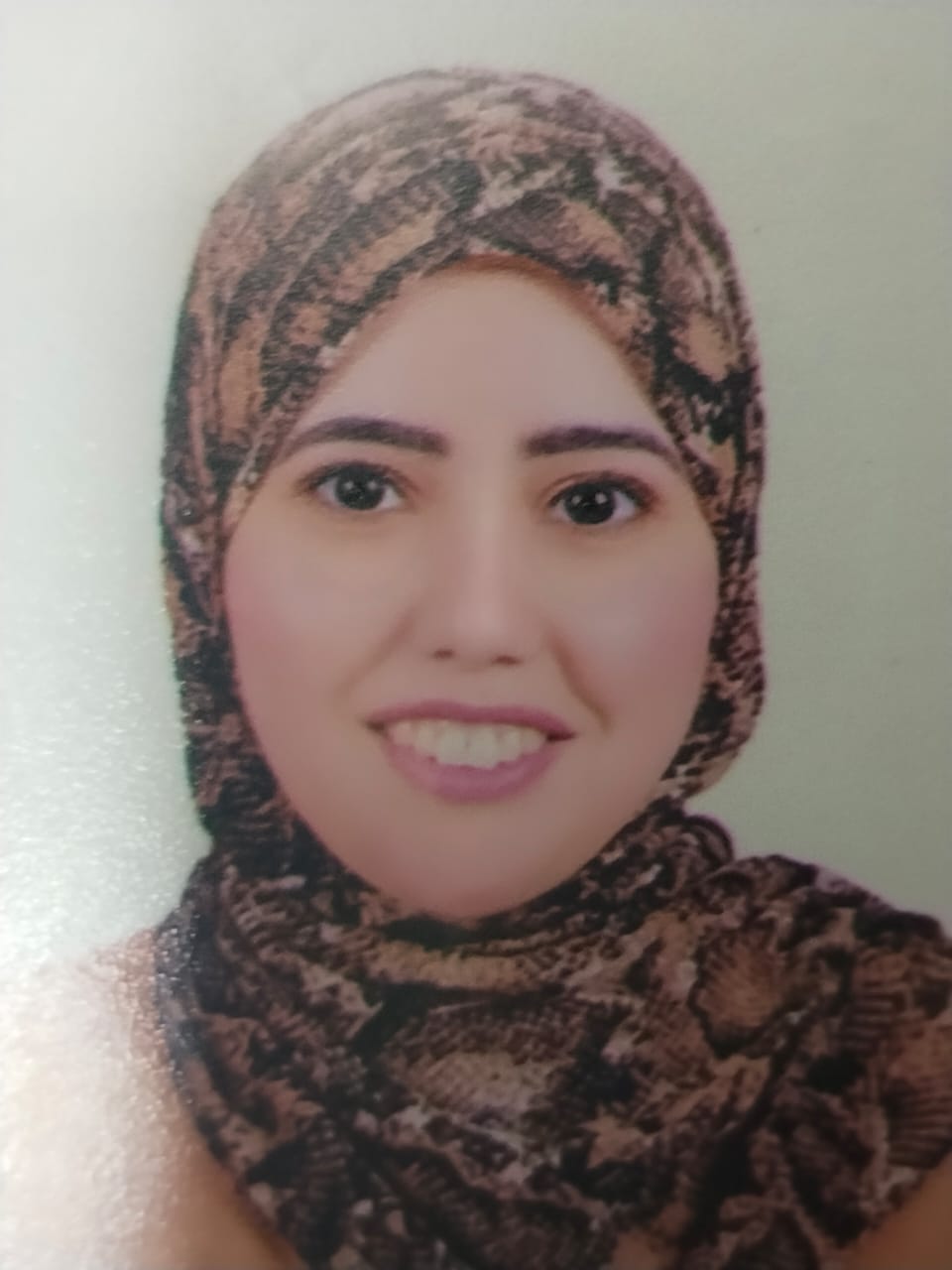 Nermeen Samir Ibrahem Abdelwehab