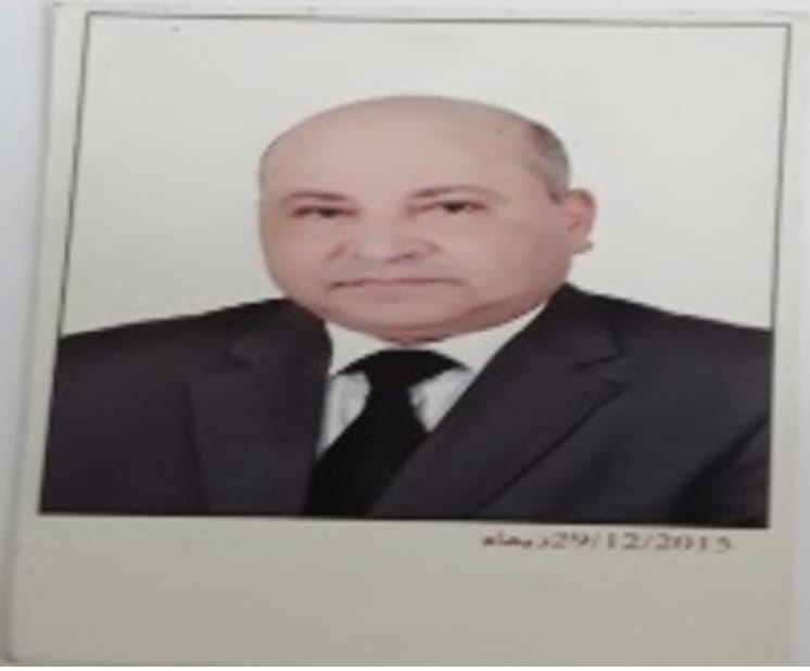 hisham abdelaziz elsayed elghaity