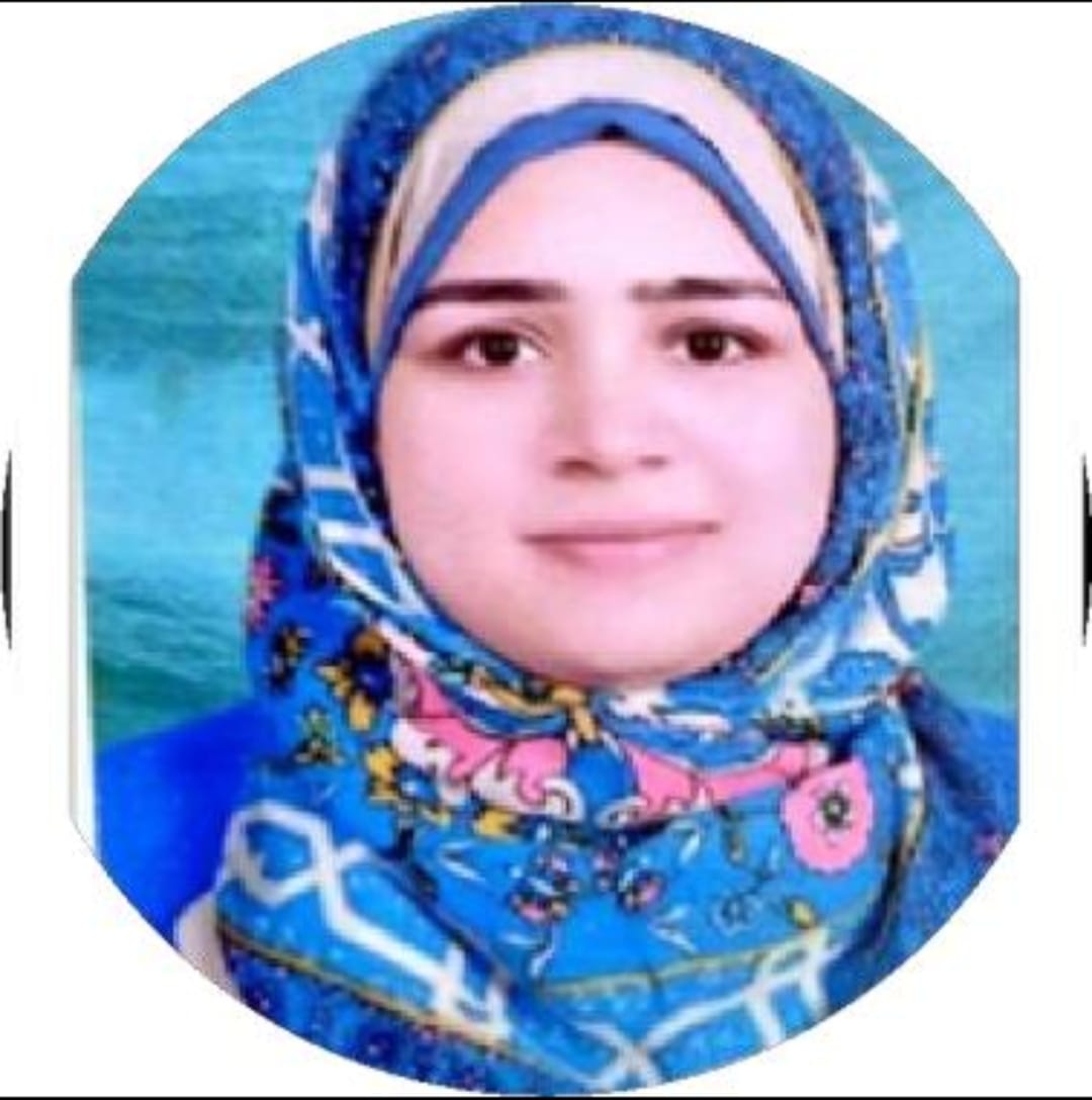 Tayseer Alaa El-Din Ibrahim Ahmed