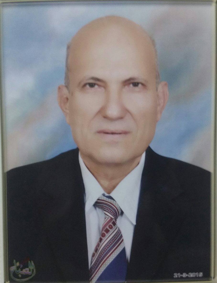 Hassan Mahmoud Emara