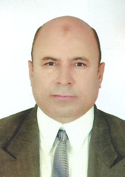 El-Sayed Almosallamy