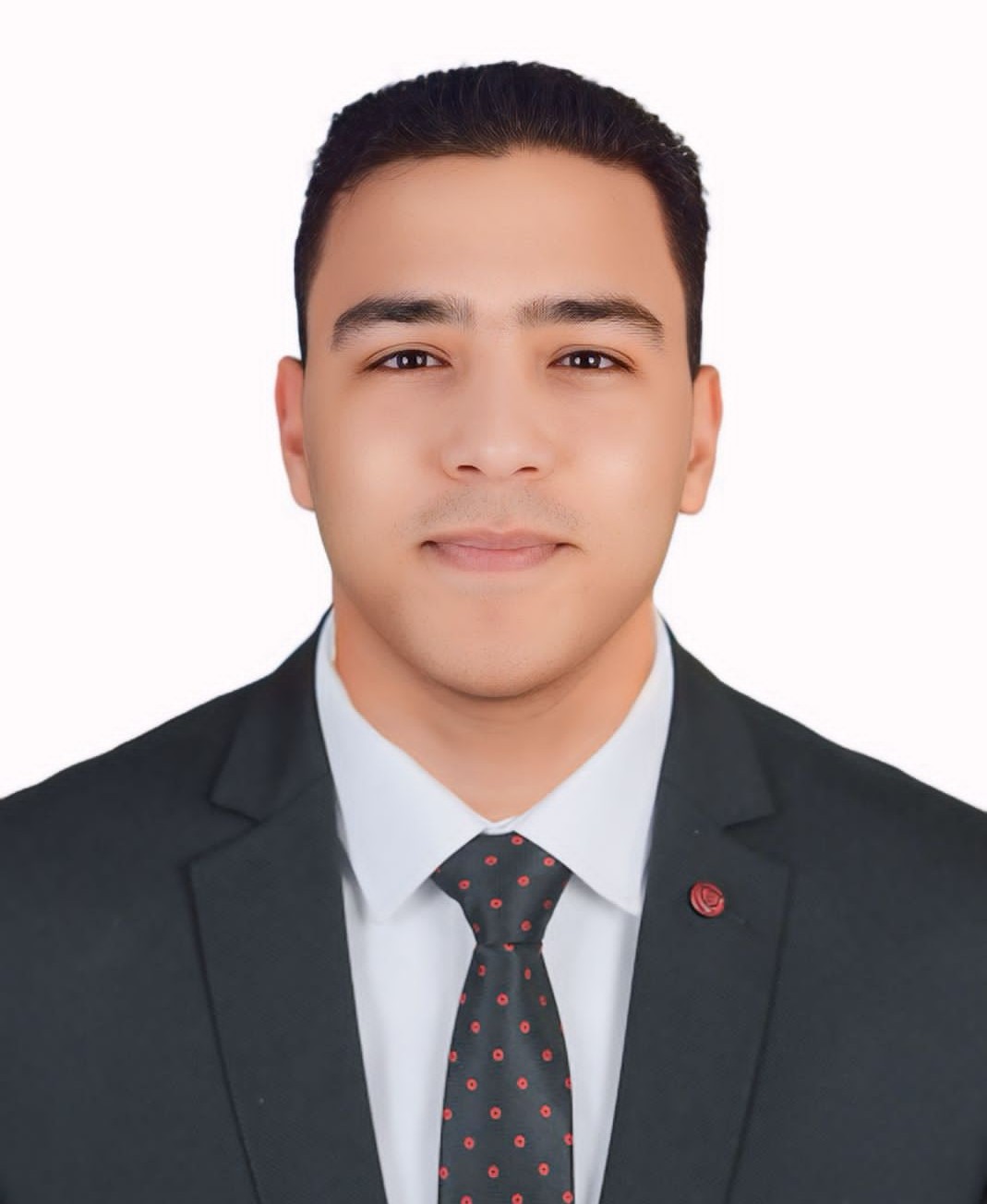 Alaa Hussein Ahmed Ibrahim