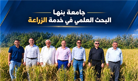 رئيس جامعة بنها يشهد حصاد سلالتي الأرز «بداية 1» و«بداية 2» تمهيدًا لتسجيلهما كصنفين جديدين عاليي الإنتاجية